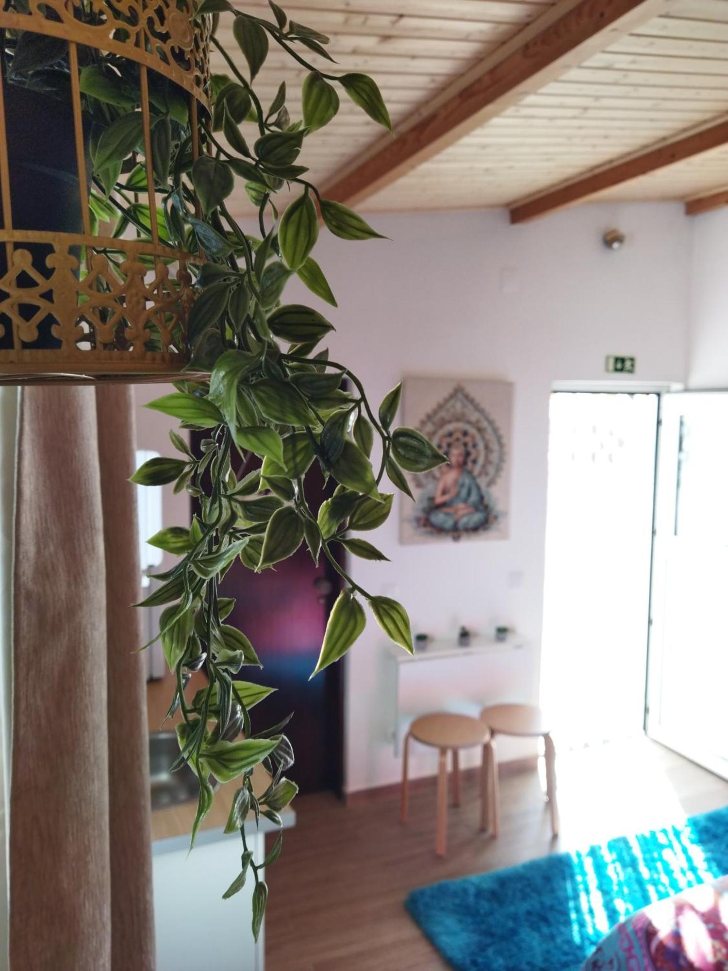 Casa Da Serra Nazaré Exteriér fotografie